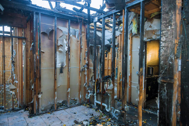 Professional Smoke Damage Removal technician working in Mantua, VA